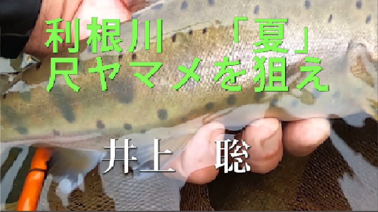 井上　聡　利根川　『夏』　尺ヤマメを狙え