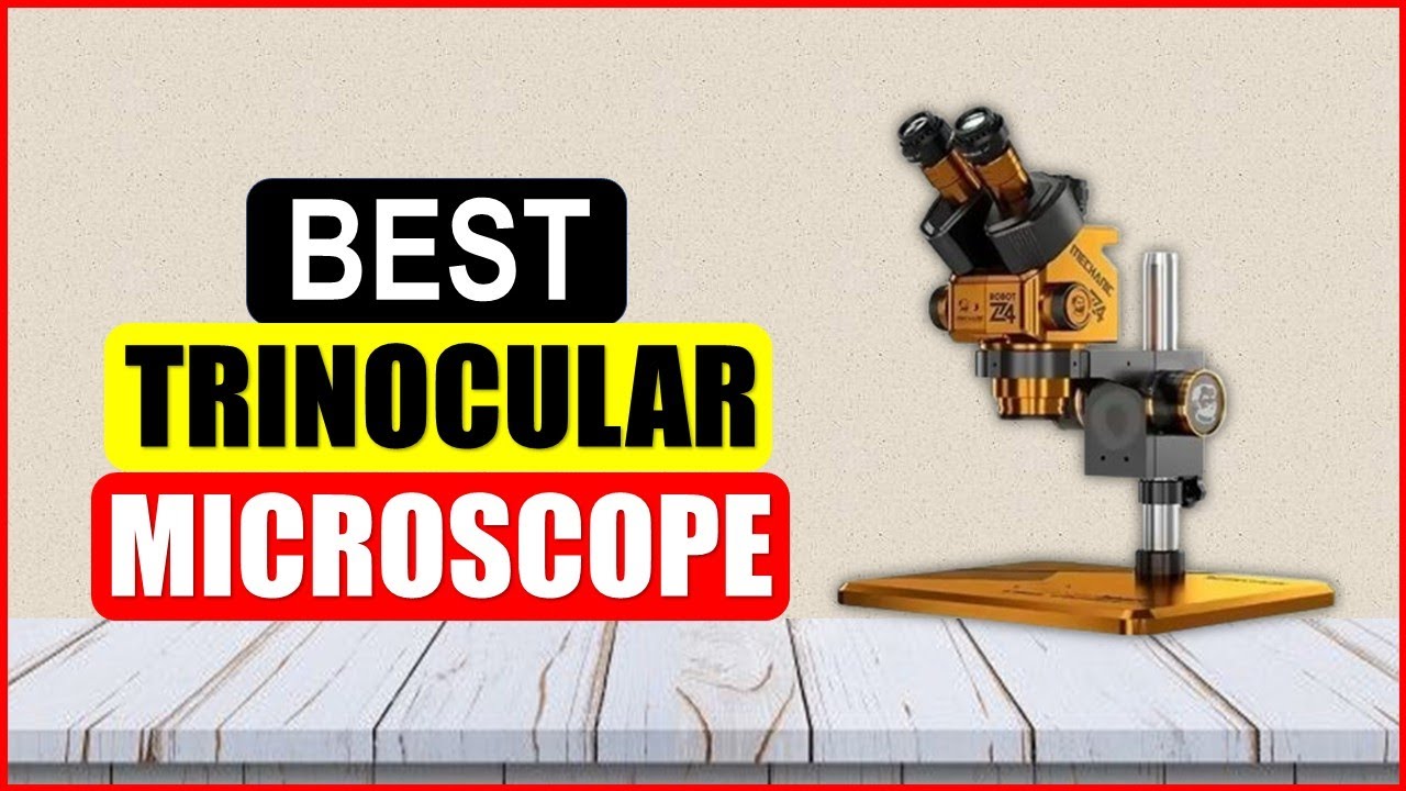 Top 5 Best Trinocular Microscope in 2025 From AliExpress