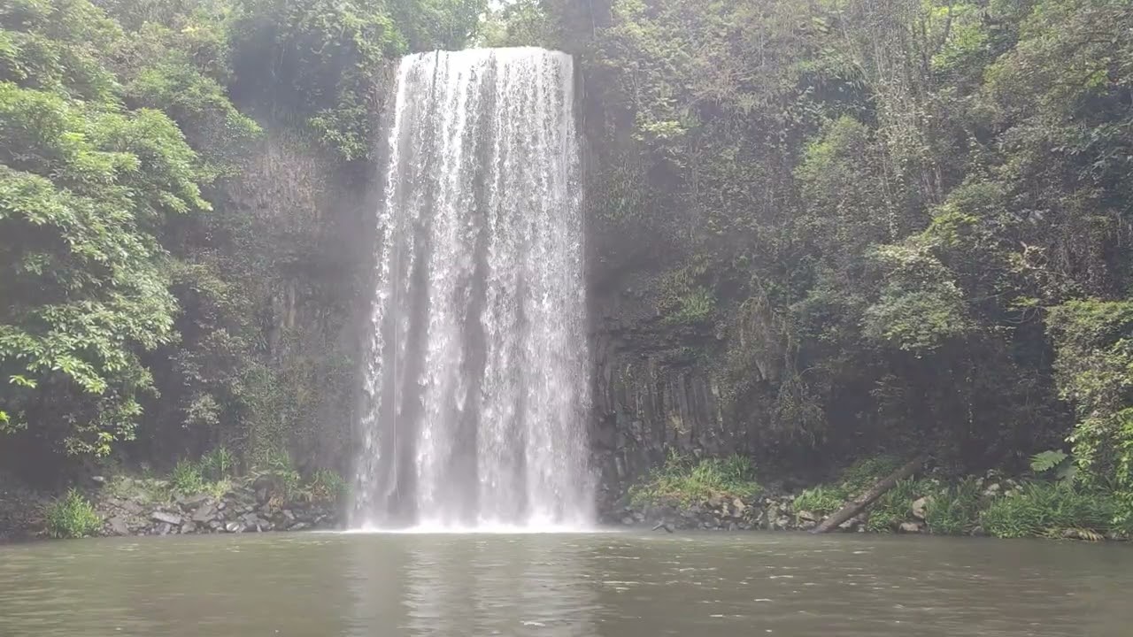 Millaa Millaa Falls - 4K relaxing ASMR video, Atherton Tablelands, Queensland
