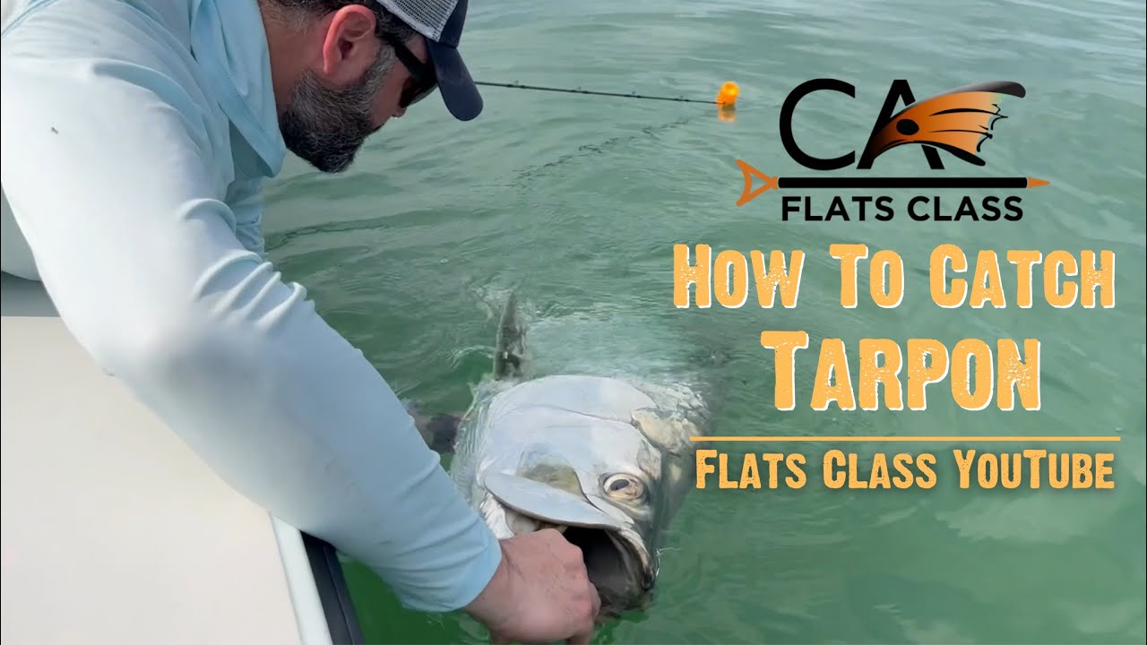 How To Catch Tarpon - Flats Class YouTube