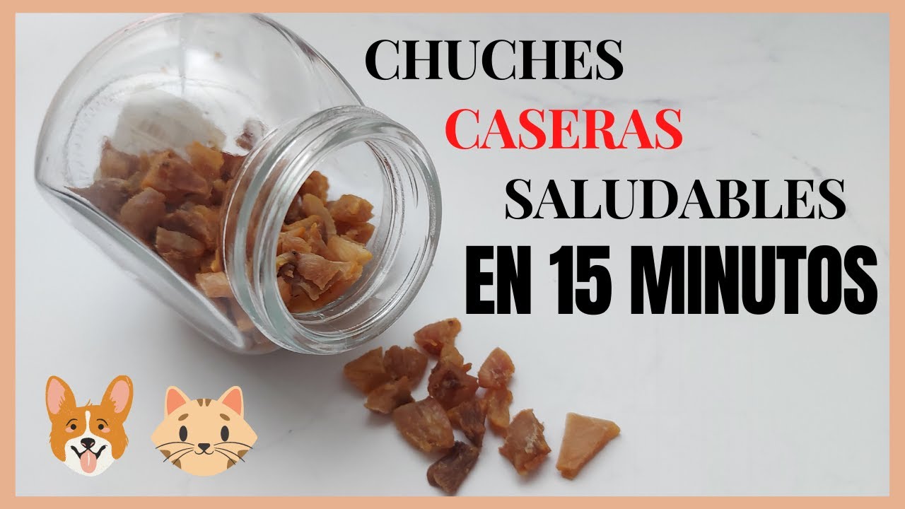 Premios caseros ECONÓMICOS, FÁCILES Y SALUDABLES para PERROS y GATOS 🐶🐱
