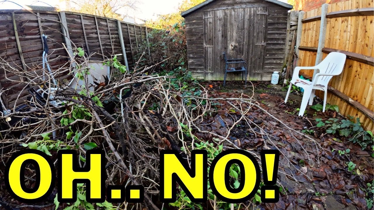 Rookie Mistake! It Went Wrong On This Garden Transformation.