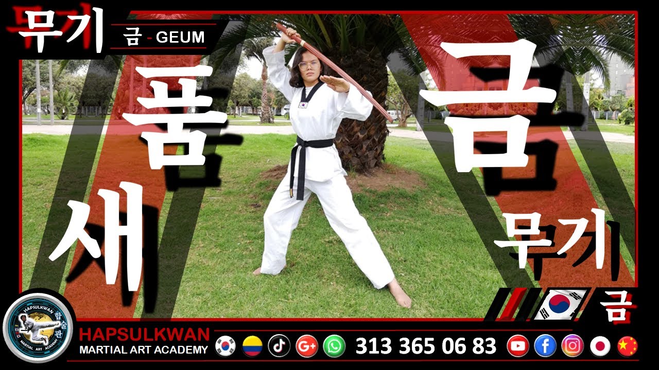 무기 Espada 금 1er EXAMEN DE GRADOS HAPSULKWAN 2024