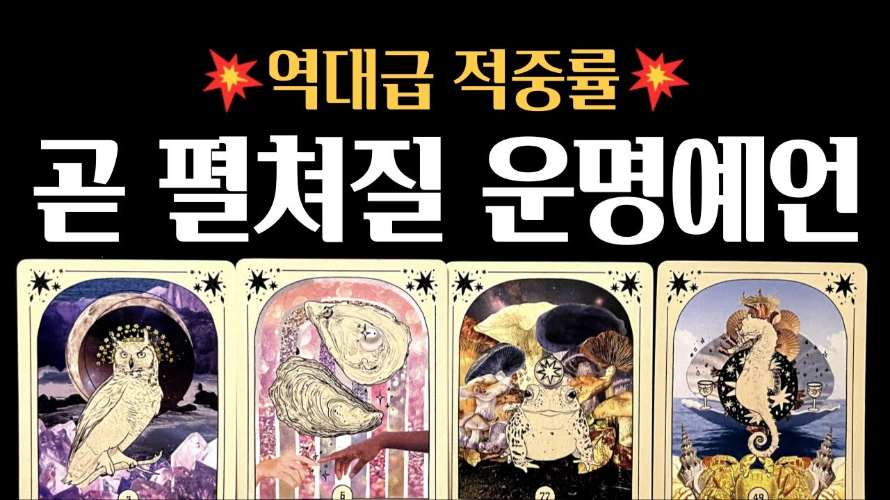 [타로] 🚨 사주보다 정확한❗곧 펼처질 3가지 운명 예언