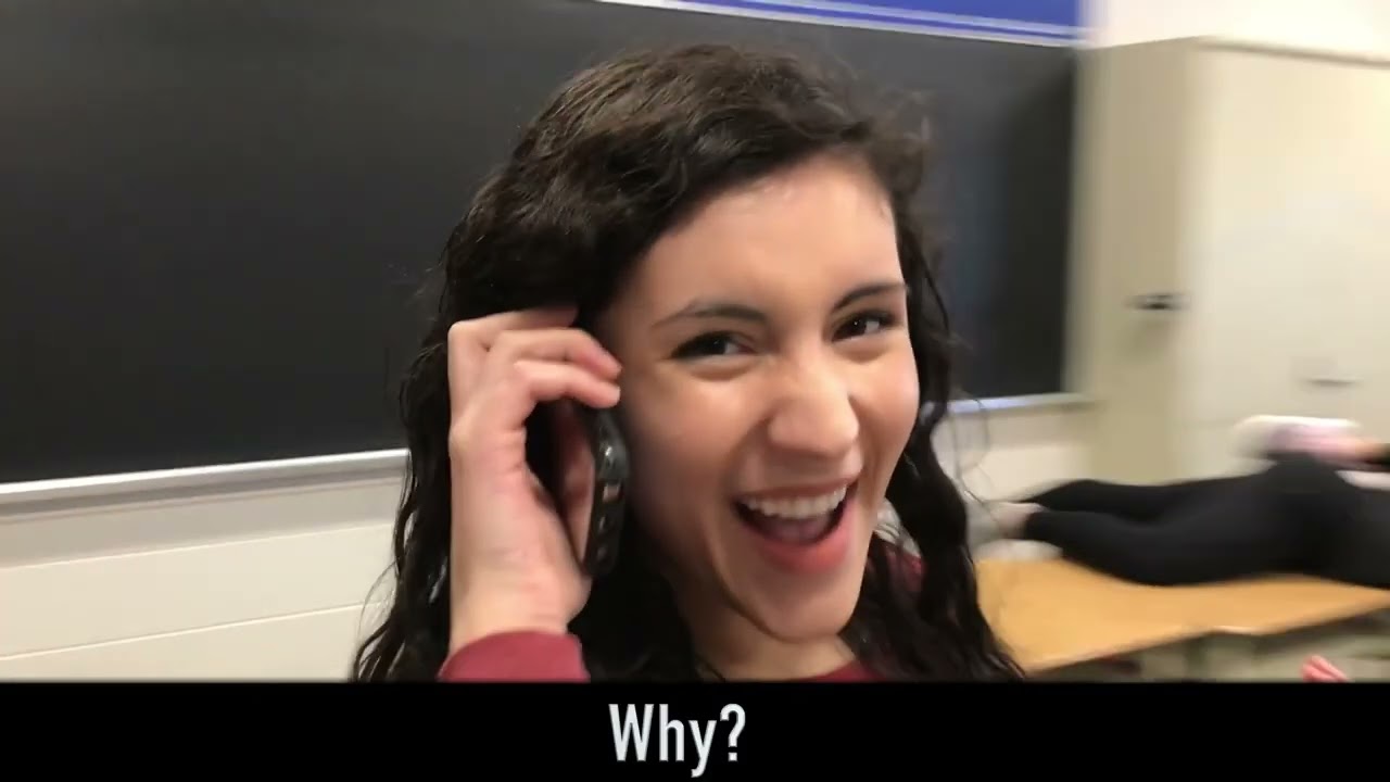 IB Parody 2018 - Look What You Made Me Do