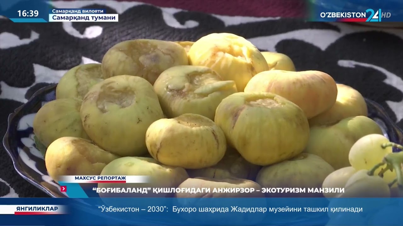 Анжир шифобахш ва доривор мева ҳисобланади