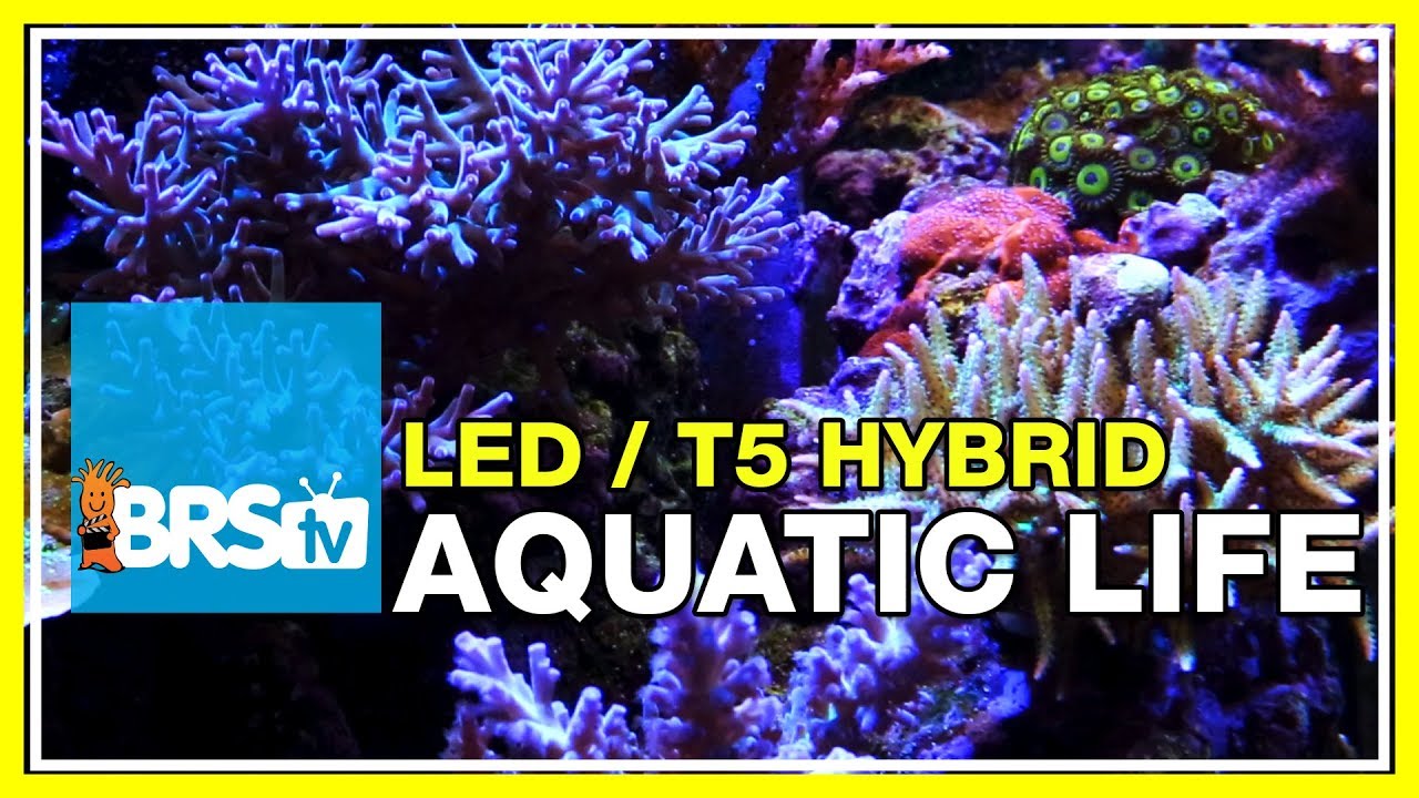 A deeper look into the Aquatic Life T5/LED Hybrid fixture | BRStv Investigates
