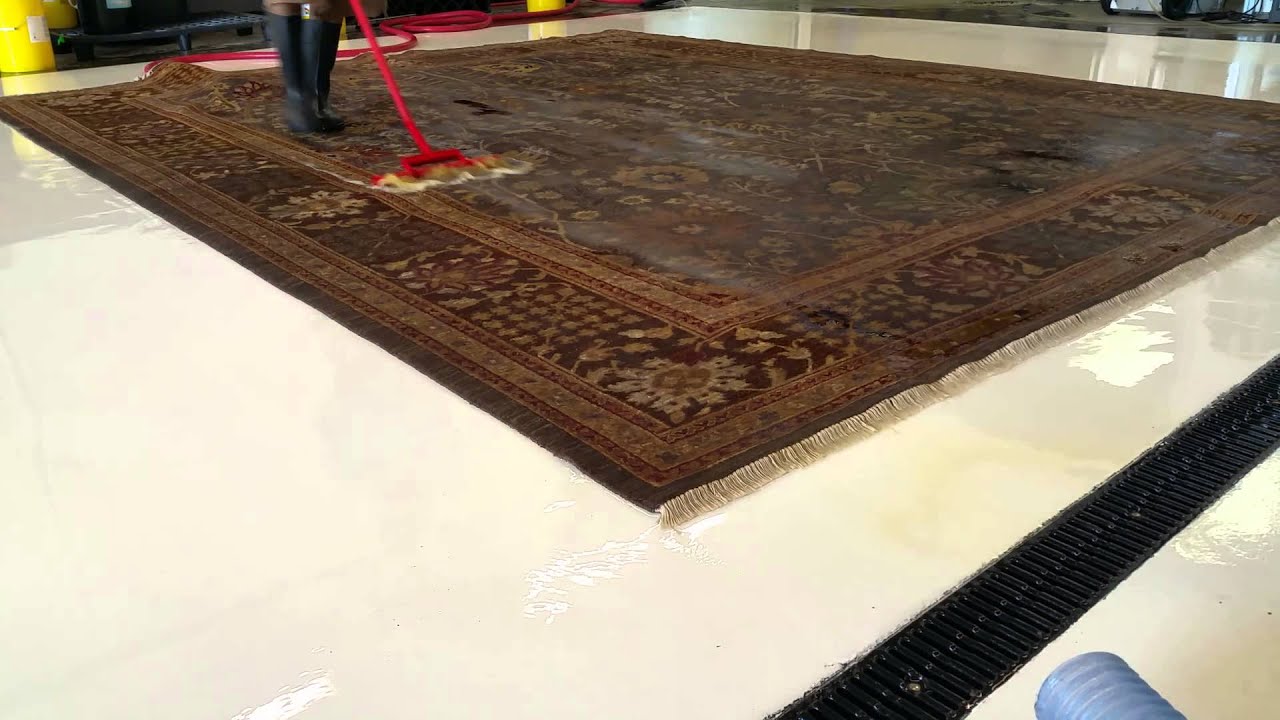 Urine Removal - Oriental Rug Cleaning of Indianapolis