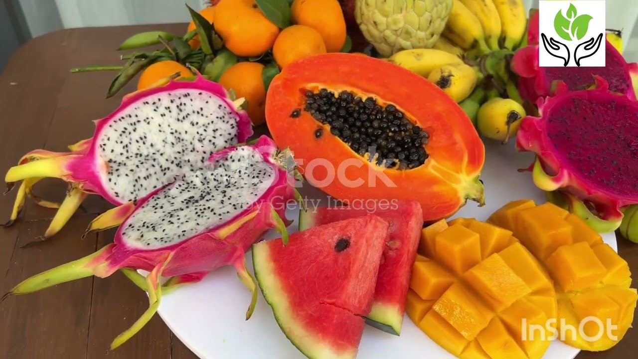 Best deal on exotic fruit plant ! 🎉  #plantlover #fruitplant
