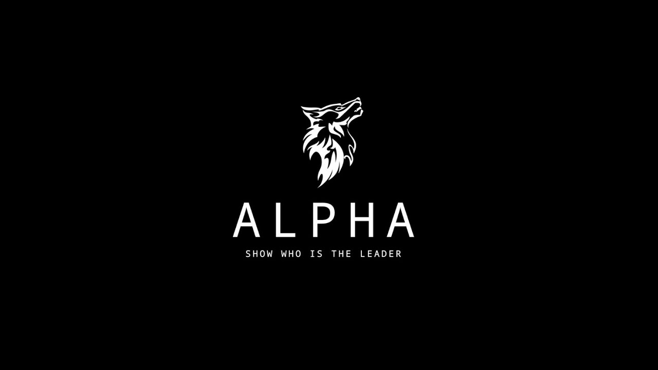 ALPHA BARBERIA | FILM