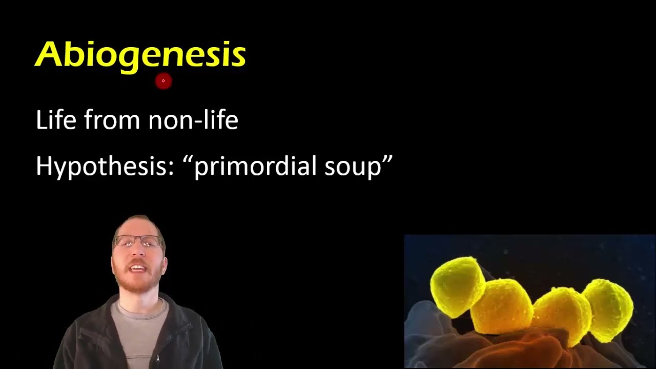 Biology:  Spontaneous Generation vs Biogenesis