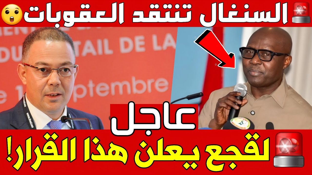فوزي لقجع عقوبات الكاف رد السنغال  السنغال المغرب عقوبات الكاف حمزة بوست
