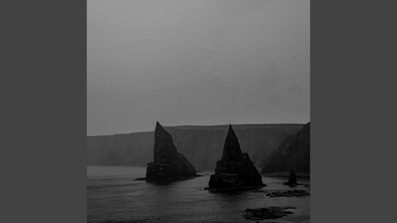 We Are the Roots That Grow in the Shadows