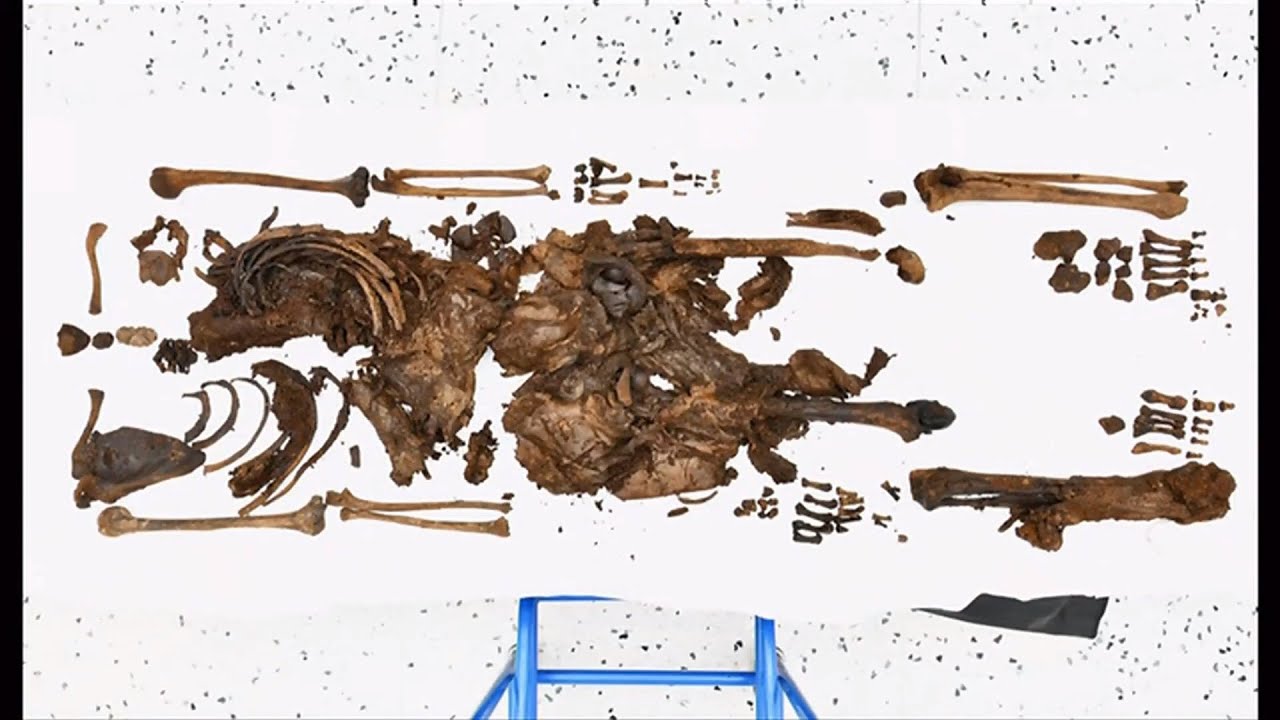 Iron Age peat bog boy found in Northern Ireland is well over 2,000 years old - 25/Jan/2024