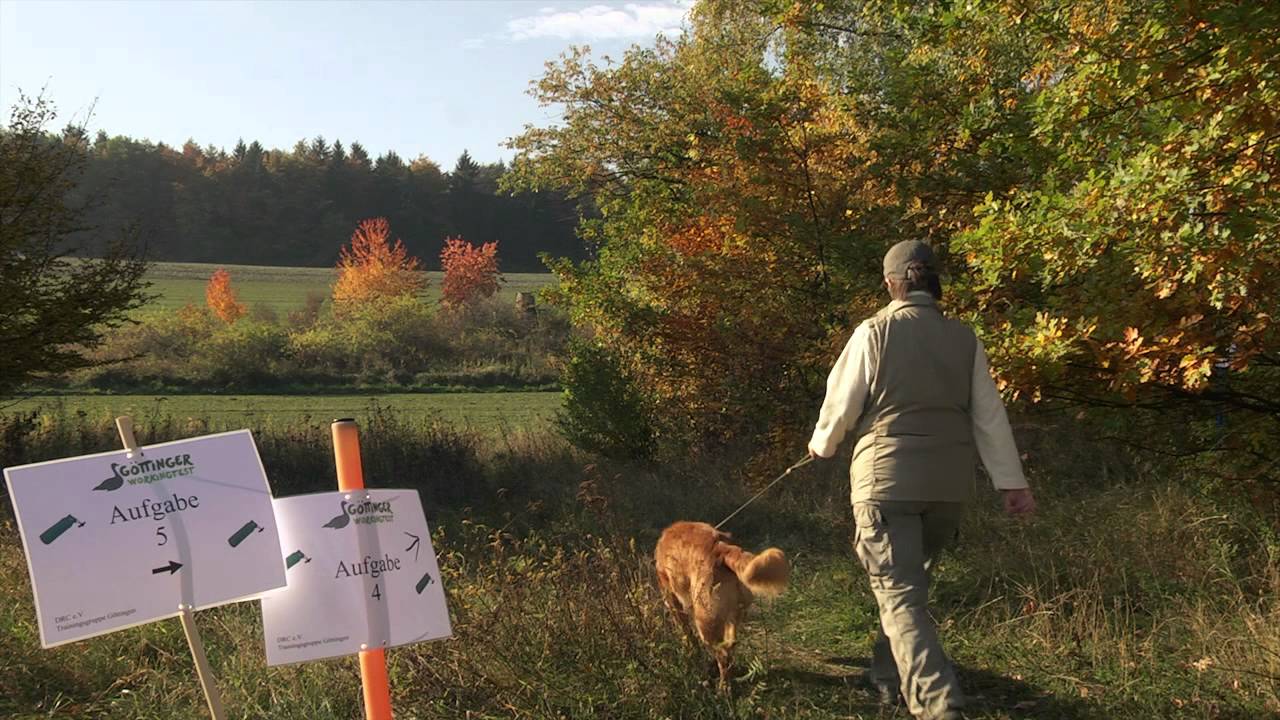1. Göttinger Workingtest - DRC Trainingsgruppe Göttingen