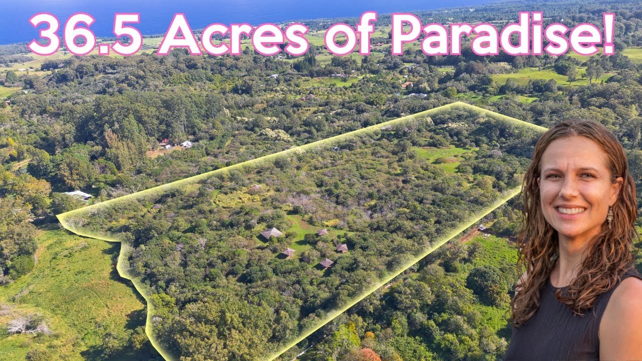 The Hidden Gem of Hamakua Coast You Never Knew Existed