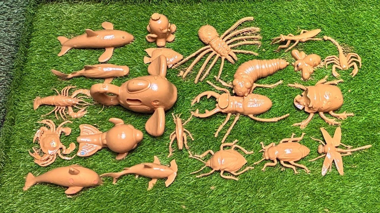 Ocean Creatures & Tiny Insects: 🐞🐬Amazing Deep-Sea Secrets & Bugs Surprises for Kids