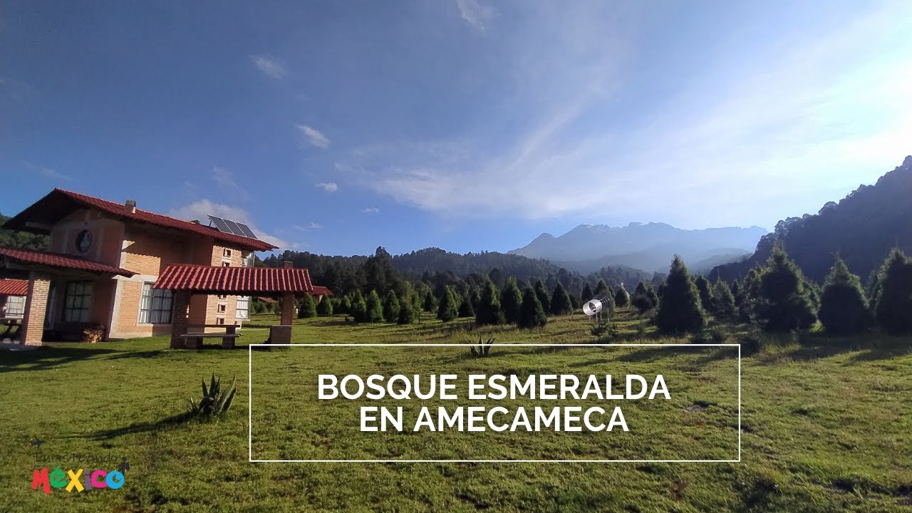 Bosque Esmeralda en Amecameca un paraíso en medio del bosque