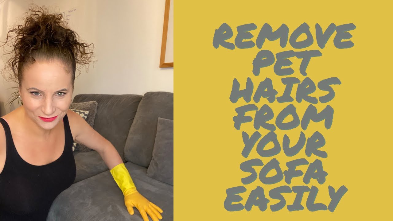 Rubber gloves removes pet hairs from your sofa.  Top tip you won&rsquo;t be able to live without