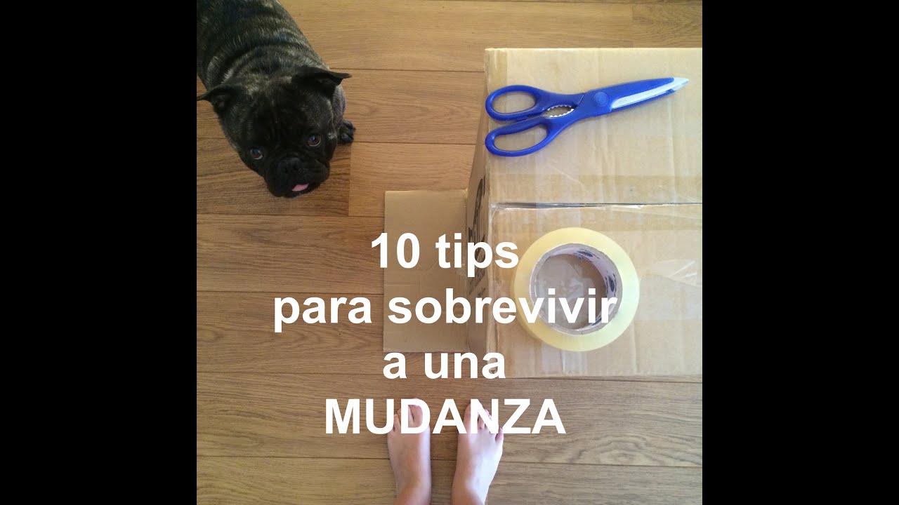 10 tips para hacer una mudanza