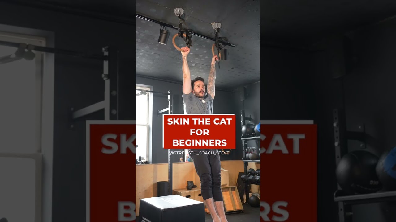 Skin the Cat for Beginners (Calisthenics)