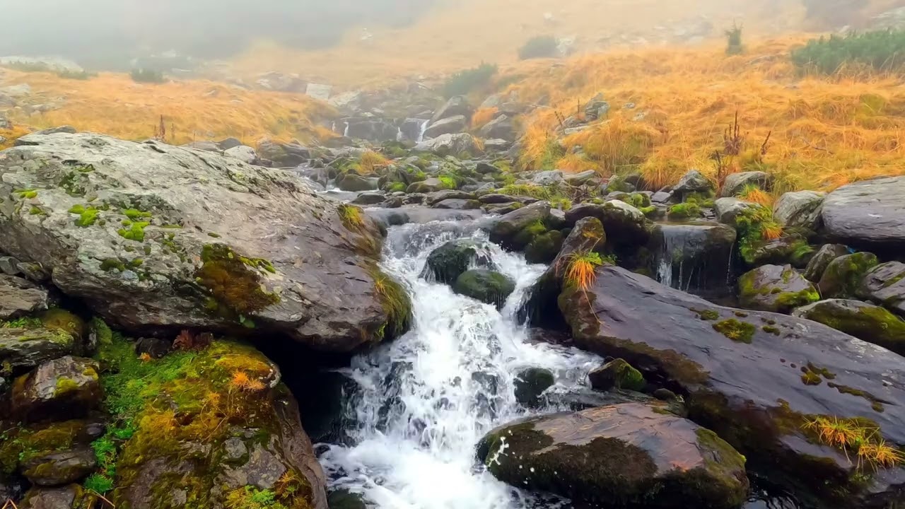 10 Hours of Calm River Flow – Relaxing Nature ASMR for Deep Sleep #asmr #asmrsounds #asmrvideo