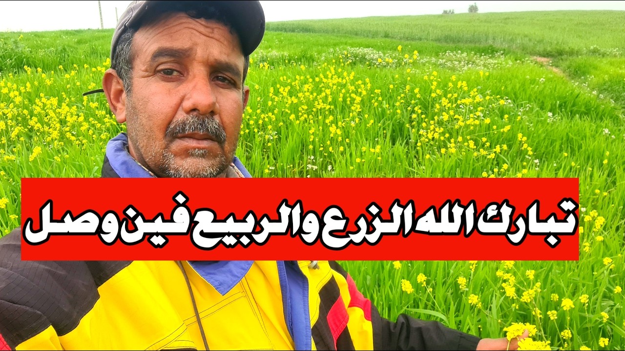 خيرات ربي زرع كلو سبل  والشتاء داخلا الله يكمل بالخير