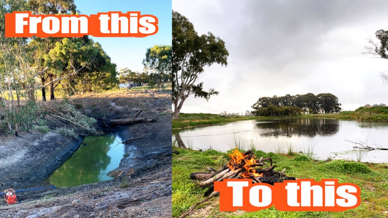 Building a dam for fishing | Pond and Dam build