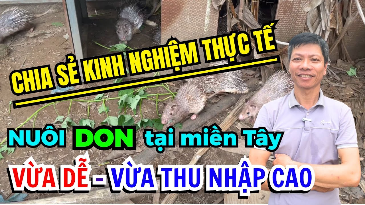 GIÁ DON GIỐNG MỚI NHẤT 2025. TRANG TRẠI DON MIỀN TÂY CHIA SẺ KINH NGHIỆM THỰC TẾ NUÔI DON THẢ VƯỜN