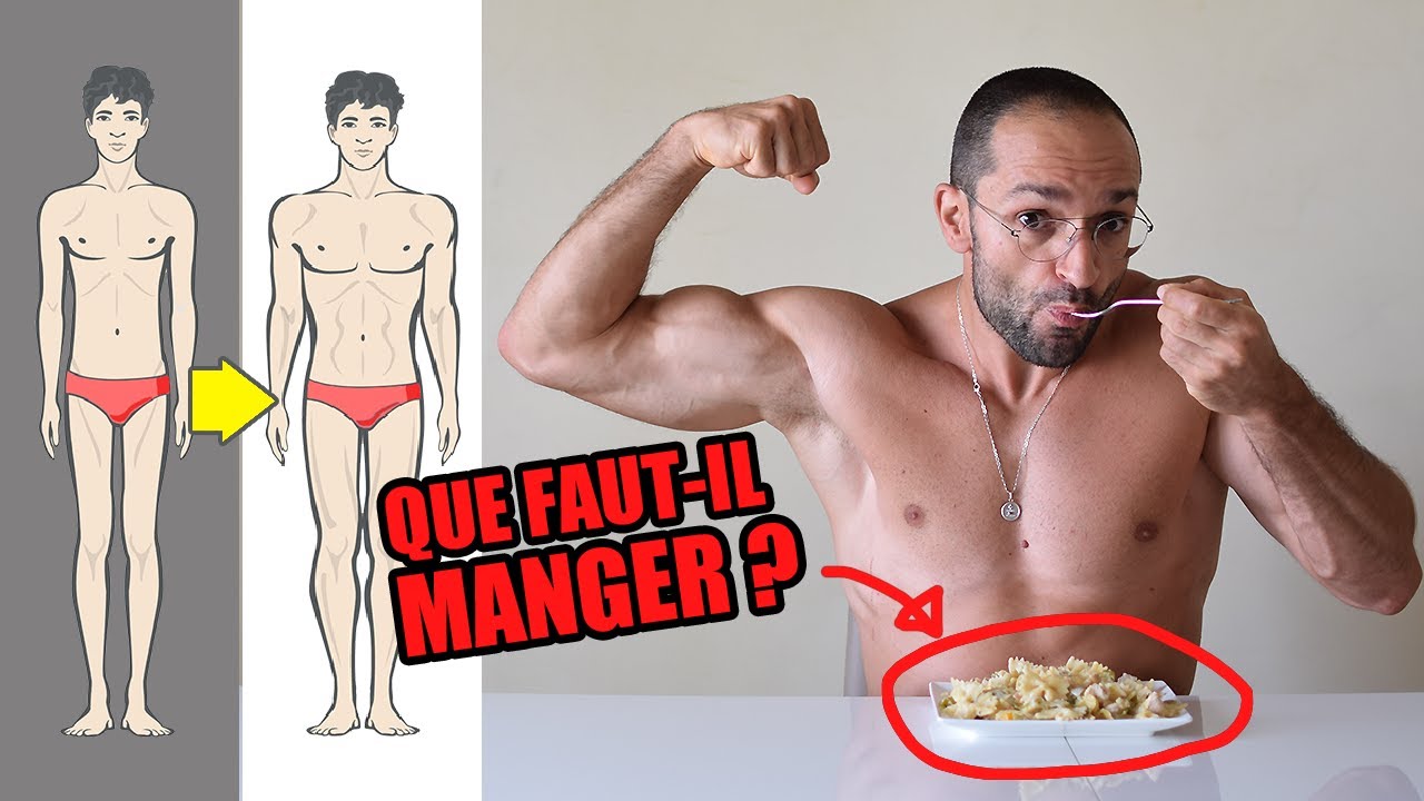 Ectomorphes / Hardgainers : La NUTRITION OPTIMALE pour prendre un MAXIMUM de MASSE MUSCULAIRE !