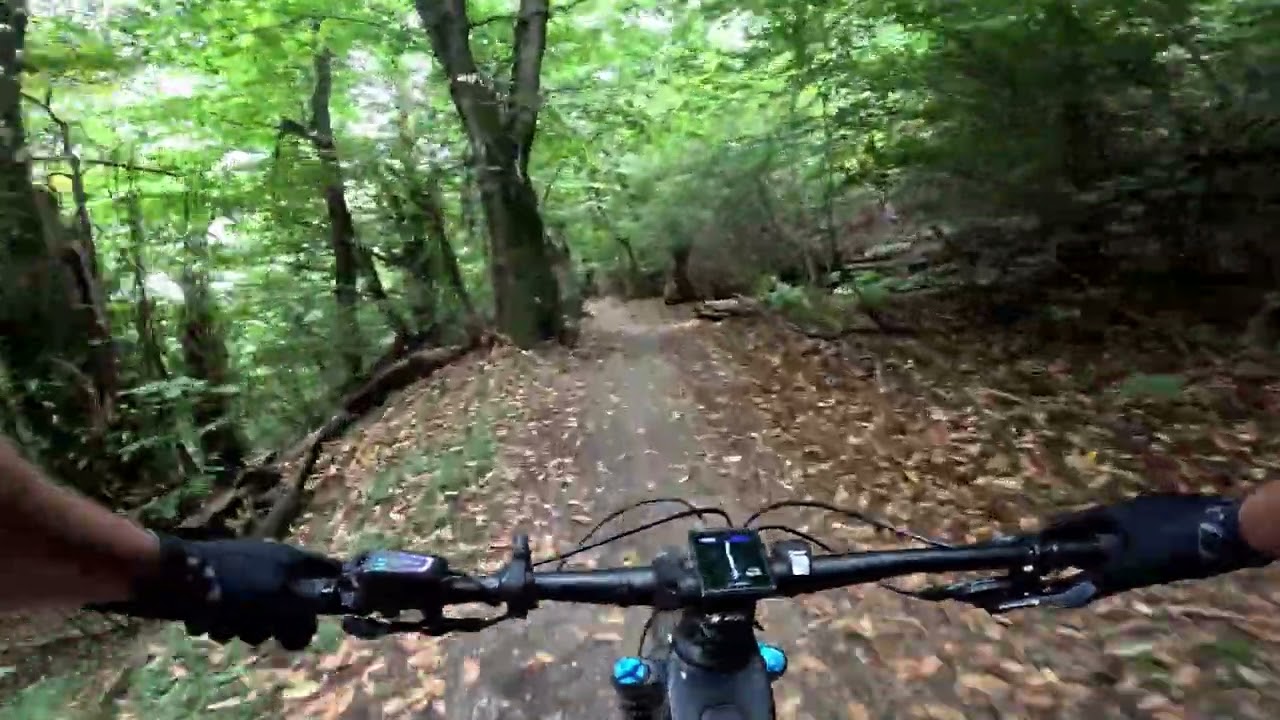 Trail Arosio (Sgambada) - Cademario
