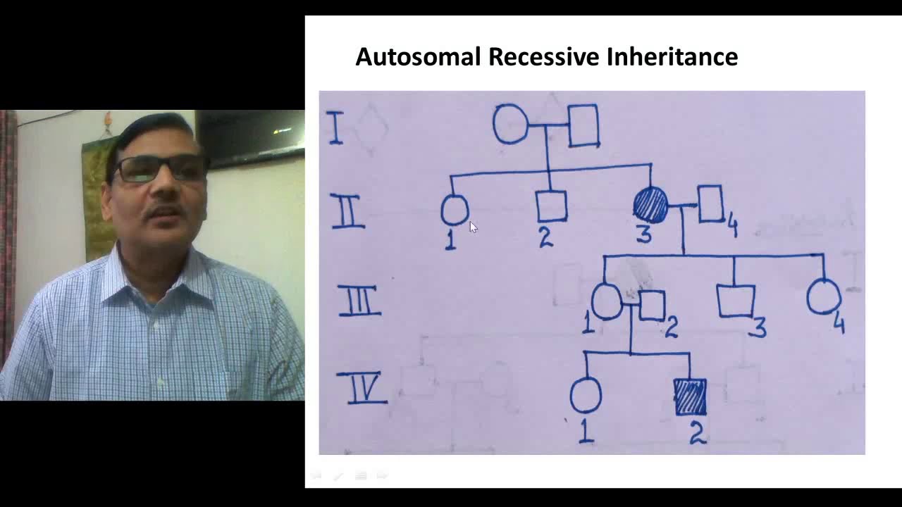 Human Pedigree: Risk Assessment for Autosomal Recessive Diseases