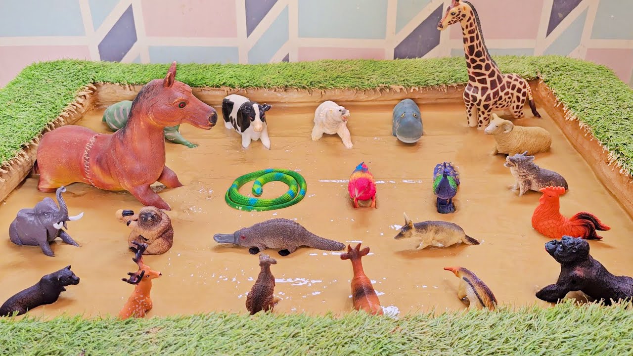 Giggles in the Goop: A Fun Mud Experience With Hibernating Animals & Zoo Friends!