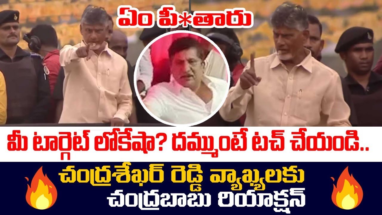 ఏం పీ*తారు🔥 | Chandrababu Naidu Strong Reply to Thopudurthy Chandrasekhar Reddy | YS Jagan