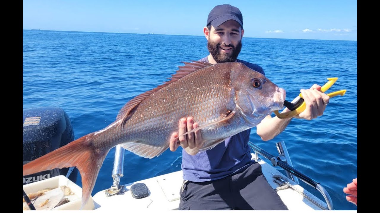 What's biting inshore Sunshine Coast QLD Summer 2024. Nice snapper and whale show for OS visitors .