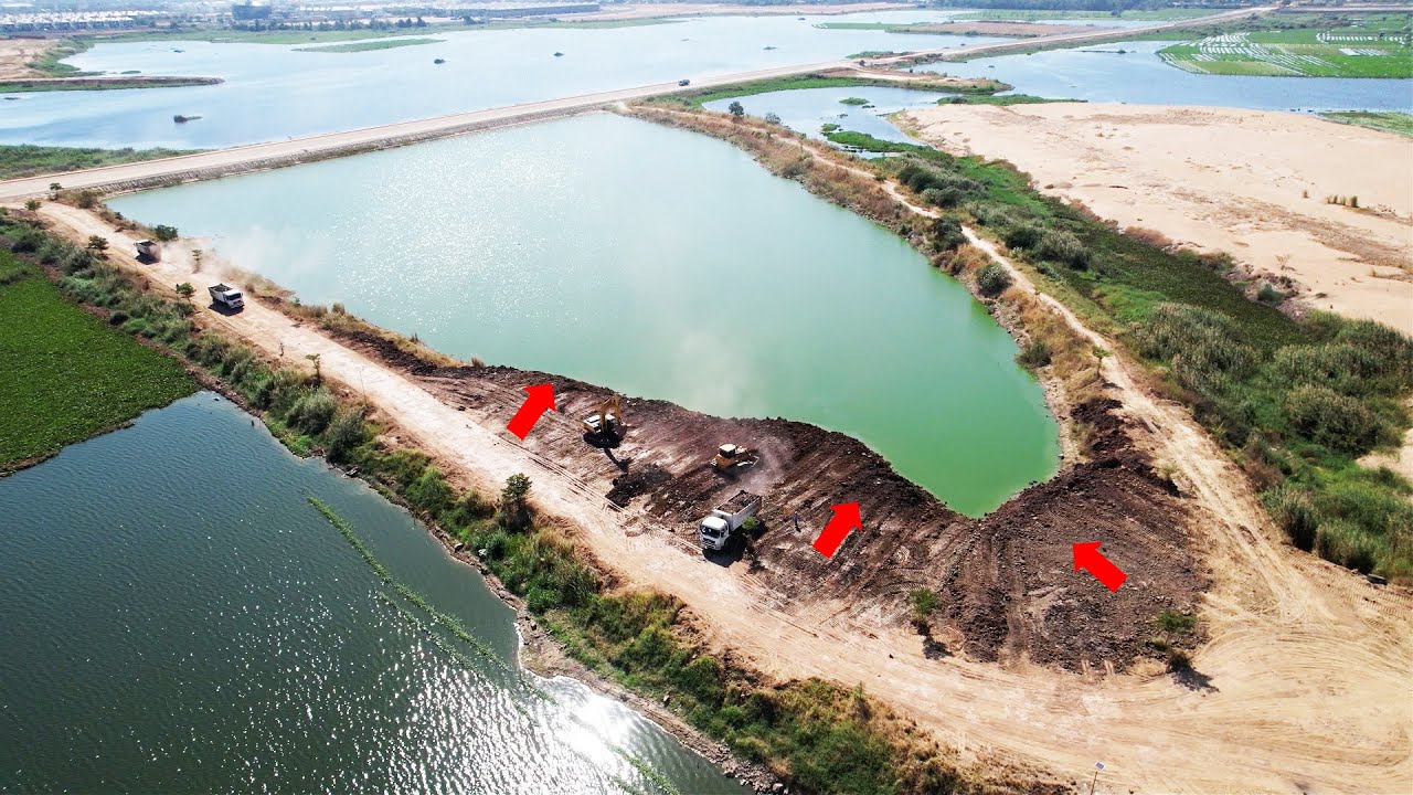 New Project! Good Shantui DH17 C2 Dozer Pushing Soil Filling Green Lake,  White Trucks Unload Dirt
