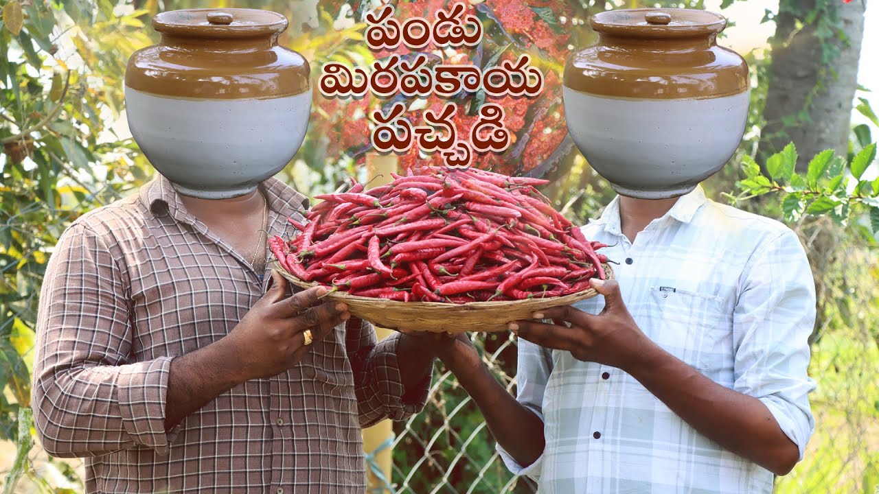 పండు మిరపకాయ నిల్వ పచ్చడి || Red Chilli Pickle Recipe || Pandu Mirchi Pachadi