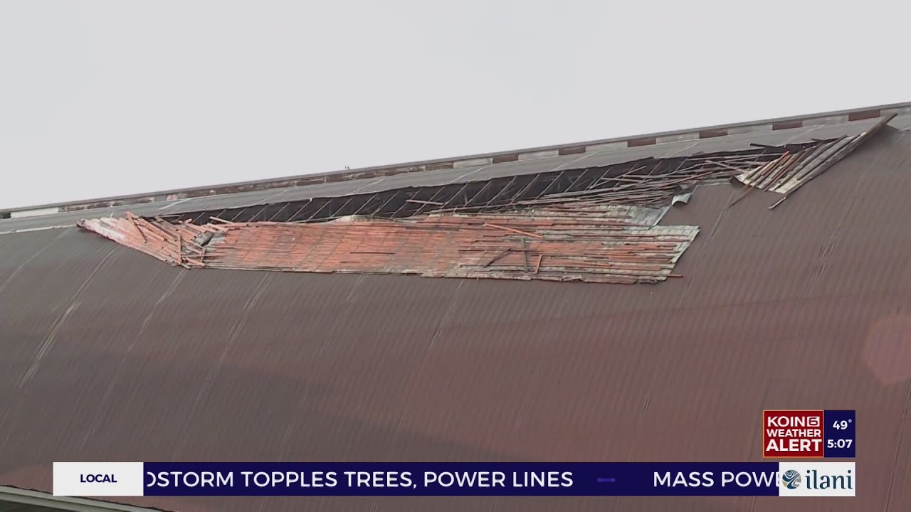 Buildings and vehicles damaged in landslide