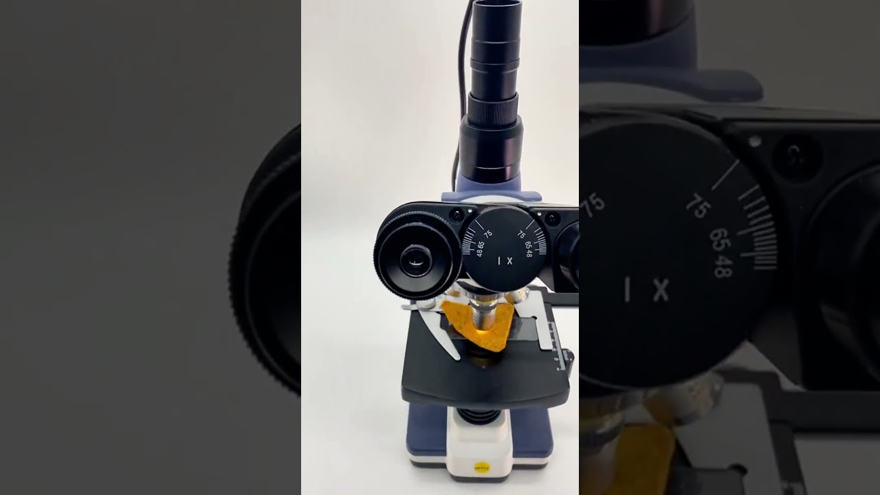You Won't BELIEVE What's on Your FOOD! 🦠🔬 #shorts