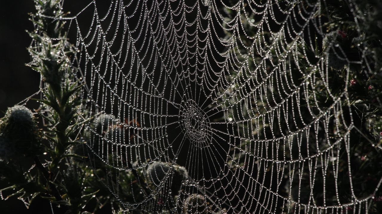 Discovering Heaven's Grace: A Mesmerizing Hike in Duiwelkloof and Volstruiskloof - July 2023