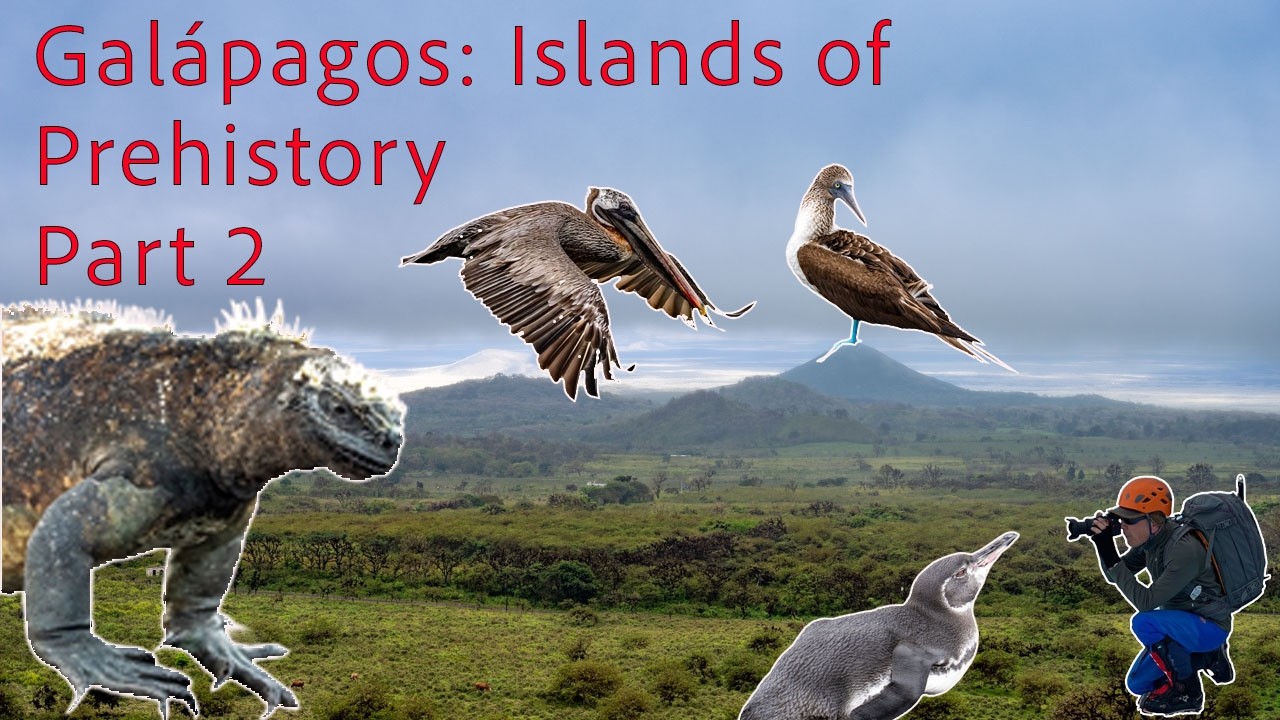 Galapagos Unveiled Część 2: Przygoda na wyspie Isabela: Dzika przyroda i natura