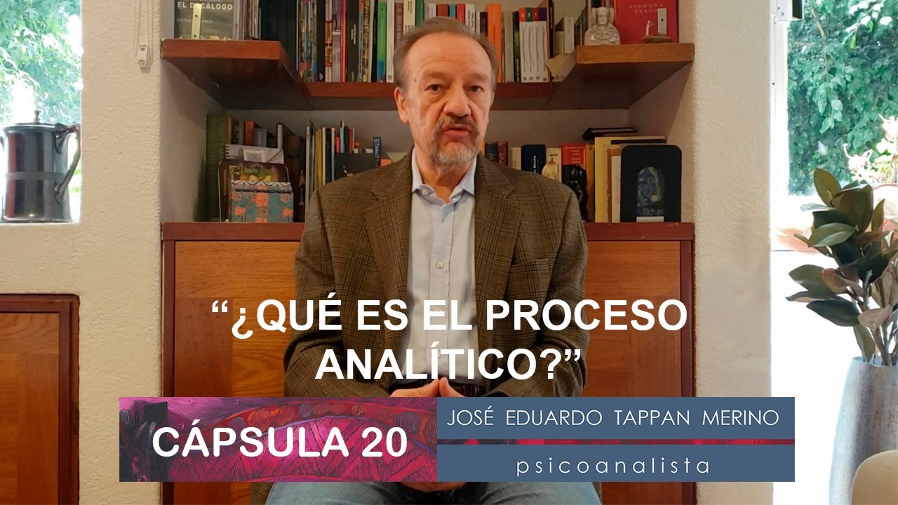 Cápsula 20: ¿Qué es el proceso analítico? - José Eduardo Tappan