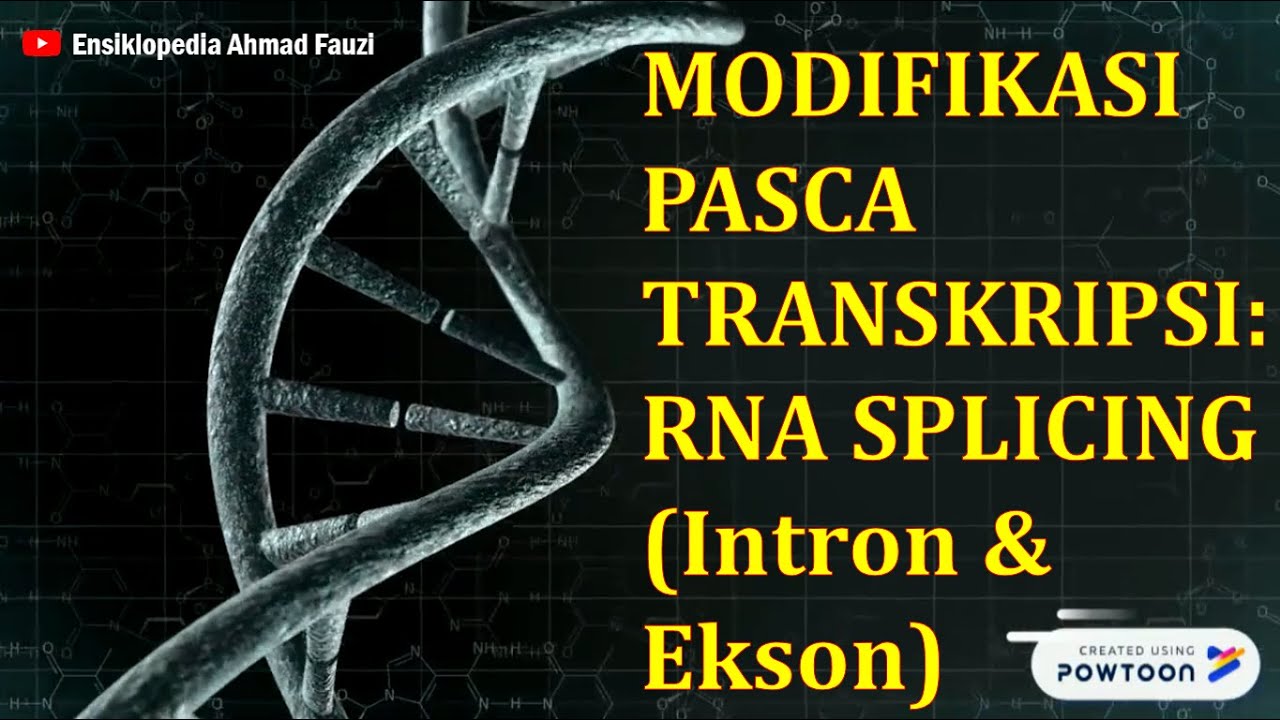 Modifikasi Pasca Transkripsi RNA Splicing, Pembuangan Intron