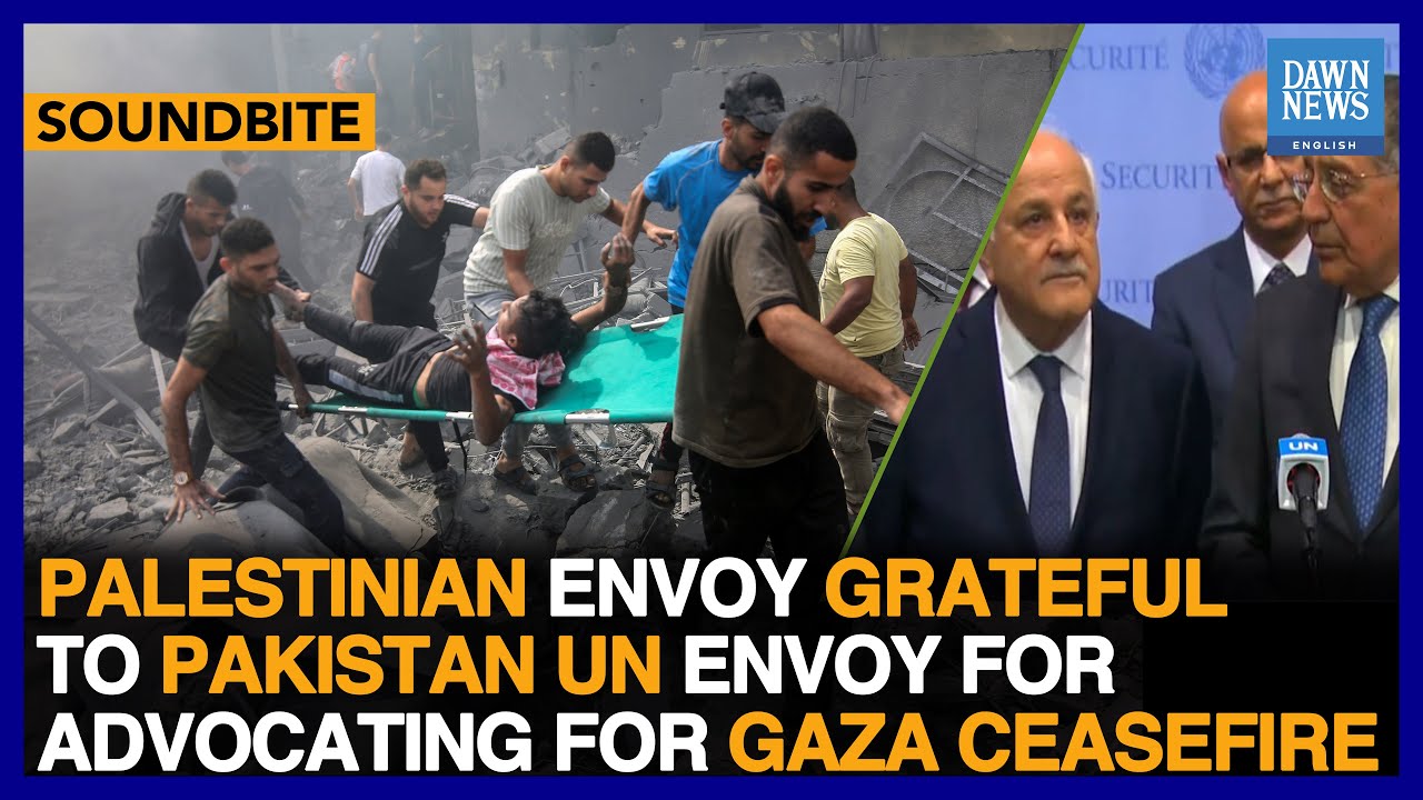 Palestinian Envoy Grateful To Pak UN Envoy For Advocating For Gaza Ceasefire | Dawn News English