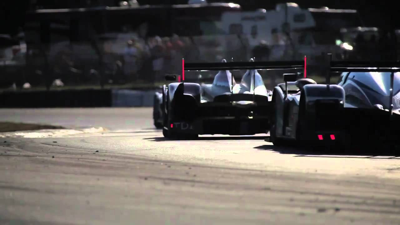 Petit Le Mans Sights & Sounds