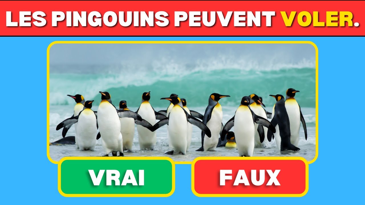 Quiz Vrai ou Faux : Testez vos Connaissances sur des Faits Surprenants !| Test Culture Générale  🤔