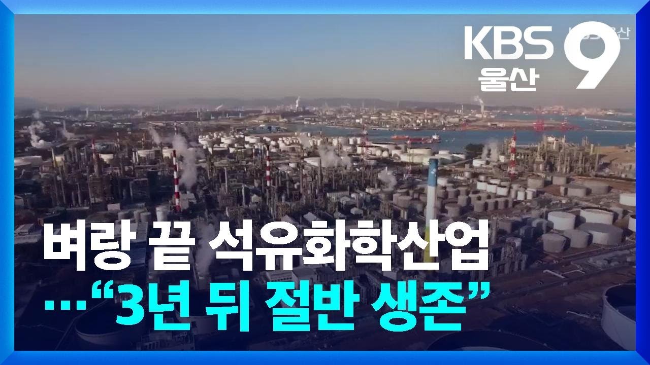 벼랑 끝 석유화학산업…“3년 뒤 절반 생존” / KBS  2025.08.17.