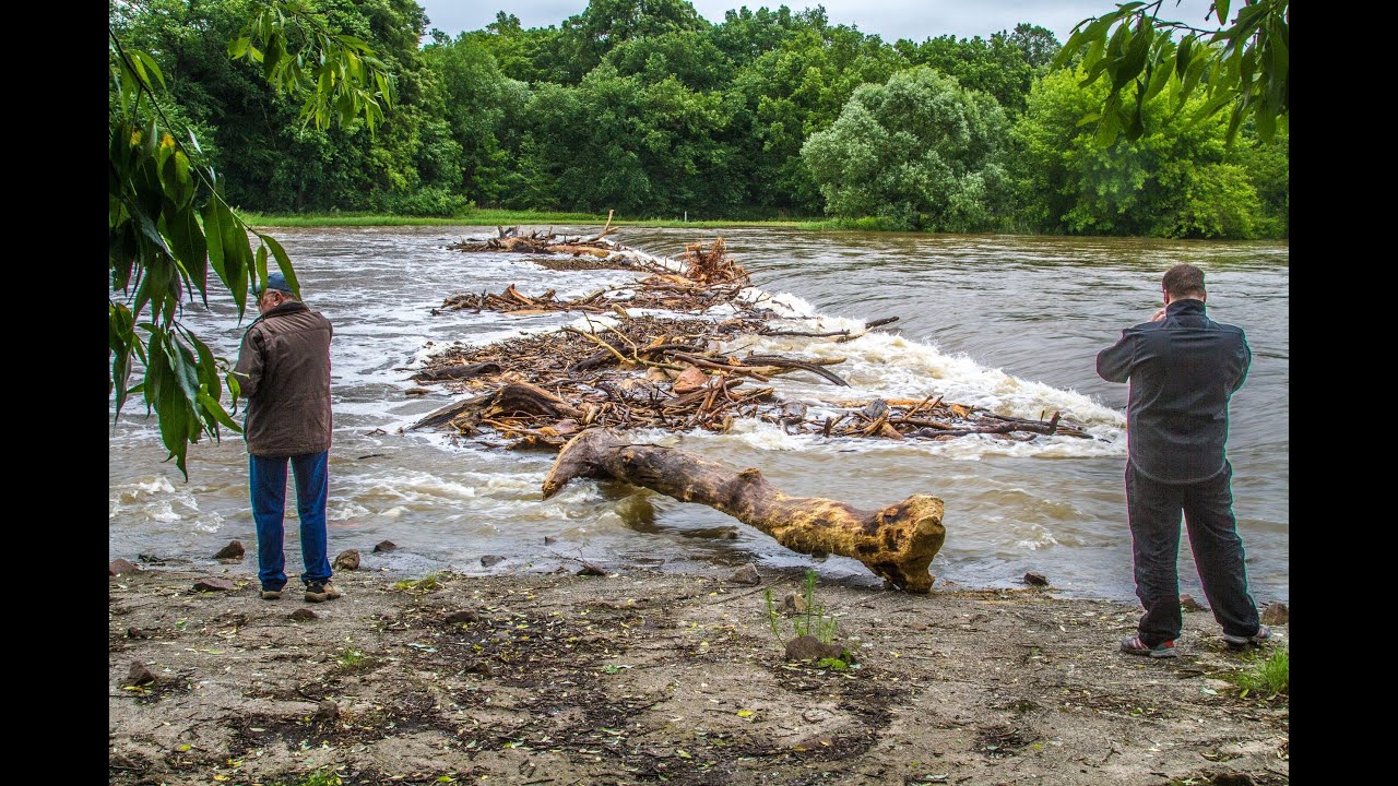 Dessau - Hochwasser an der Mulde steigt weiter