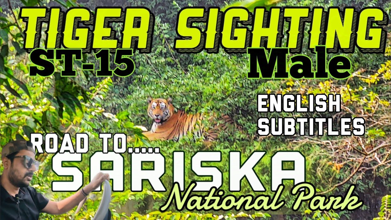 Sariska Tiger Reserve | Sariska National Park | Road conditions | Route | Wildlife | Tiger Sighting