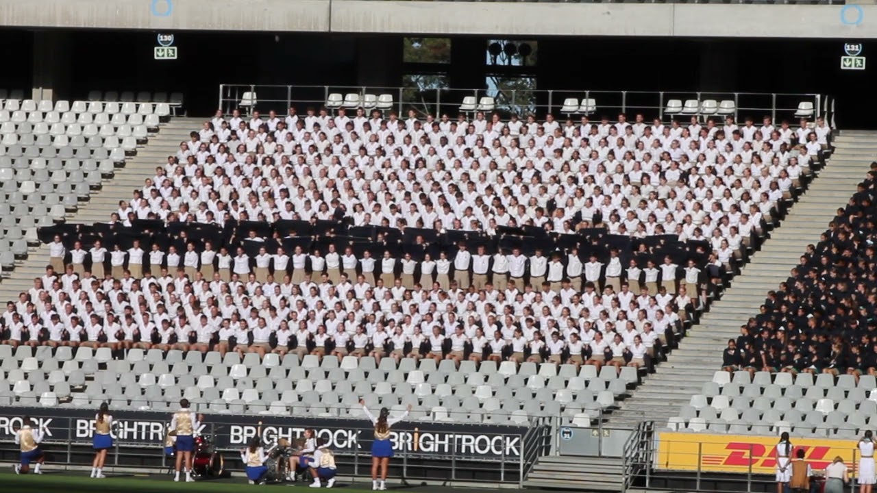 MTBS Flashes 2025 Hoerskool DF Malan
